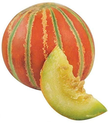 Muskmelon (Kharbooja) 1Pc (400 to 650G)