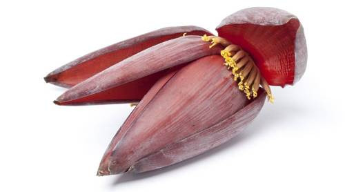 Banana Flower 1Pc