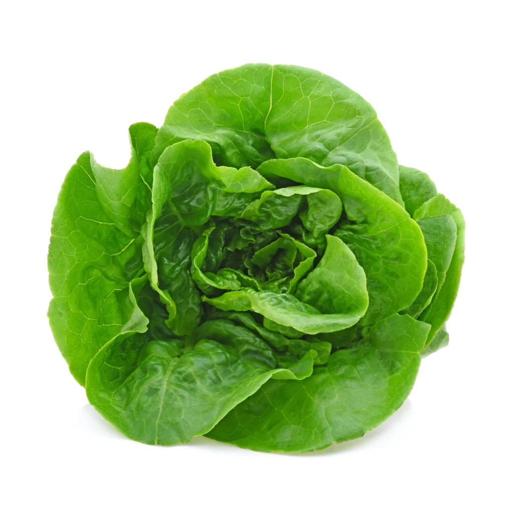 Ogreens Hydroponic Butterhead Lettuce 150G