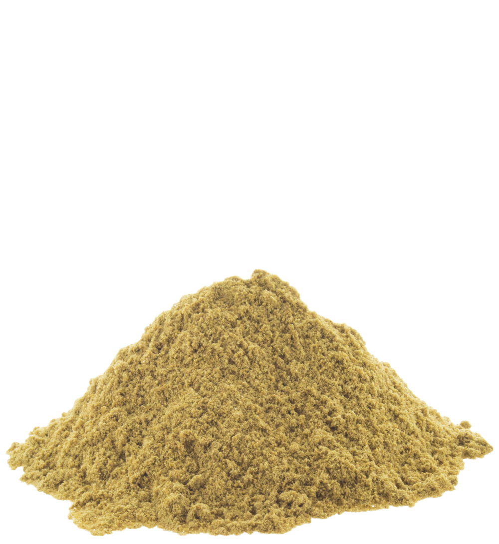 Freshly Ground Premium Dhania Powder 100Gm By Sukarya 