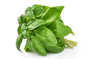 Fresh Basil Leaf 50G