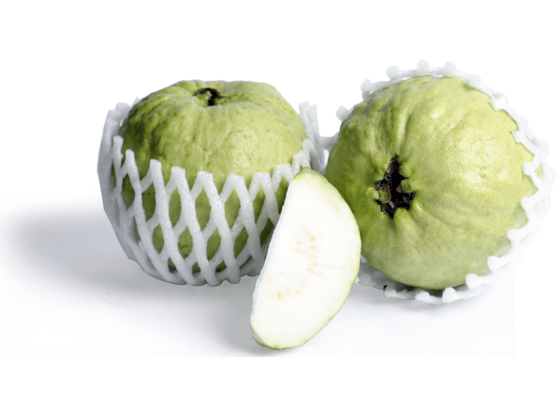 Guava -Thai 1Pc (450-550G)
