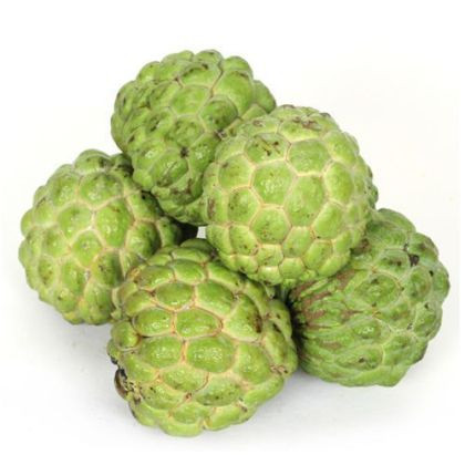 Custard Apple 2Pcs
