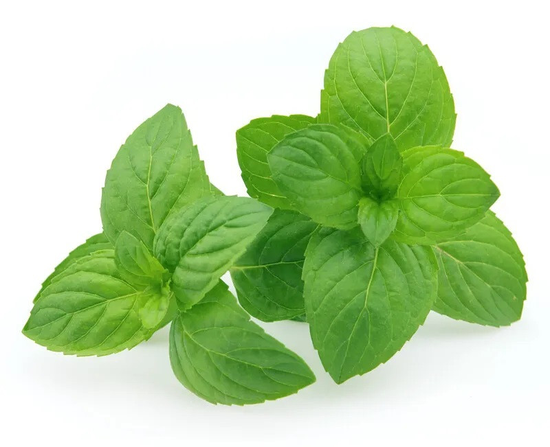 Ogreens Hydroponic Mint Leaves 100G