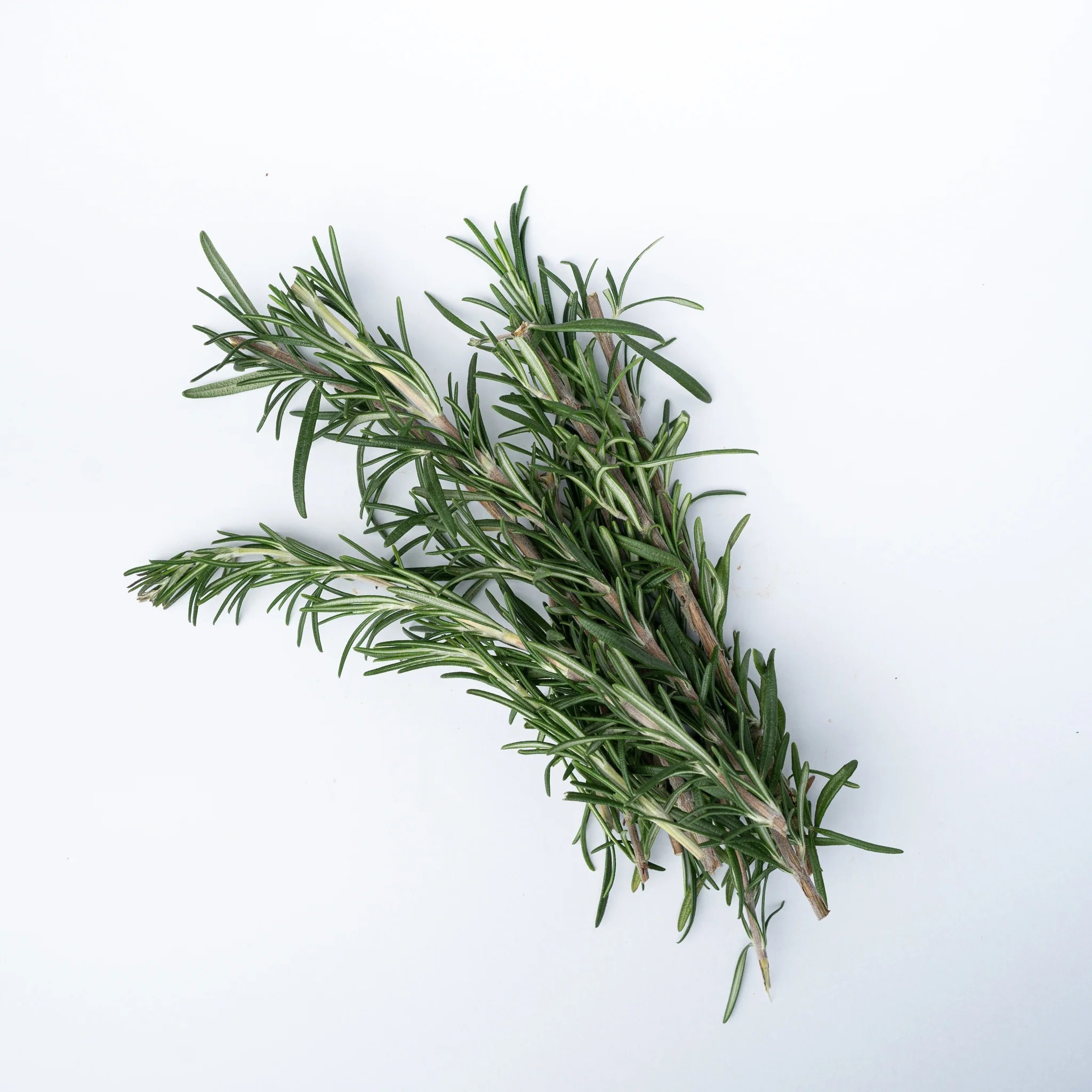 Rosemary (Gulmehendi) 50G