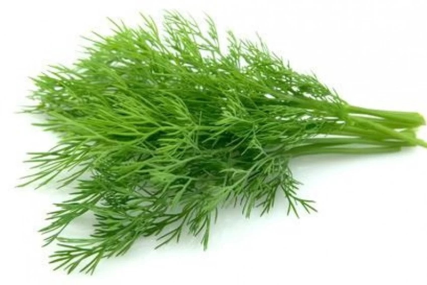Soya Saag 200G
