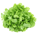 Ogreens Hydroponic Green Oak Lettuce 150G