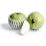 Guava -Thai 1Pc (450-550G)