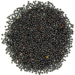 Sattviki Premium Black Mustard 100G