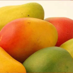 Mango Totapuri 500G